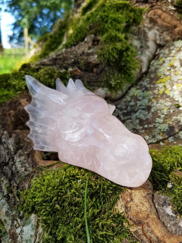 Rozenkwarts draak xl